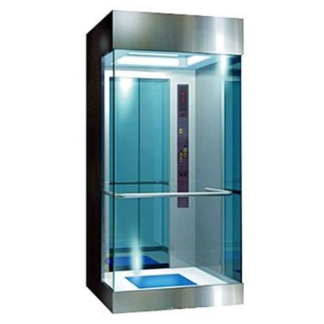 Fjzy-высокое качество и безопасность дома Лифт Fjs-1631